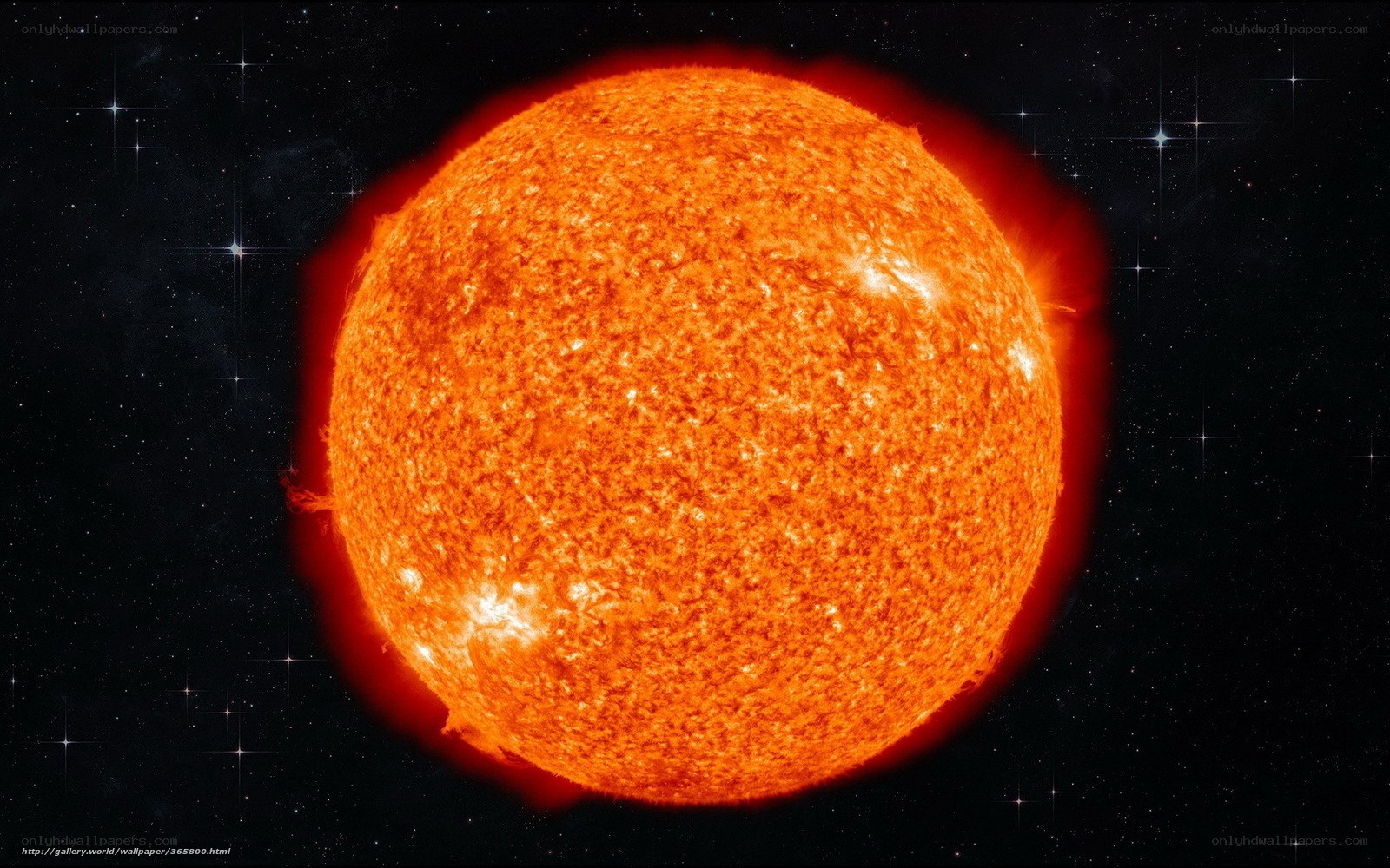 The Sun in Space
