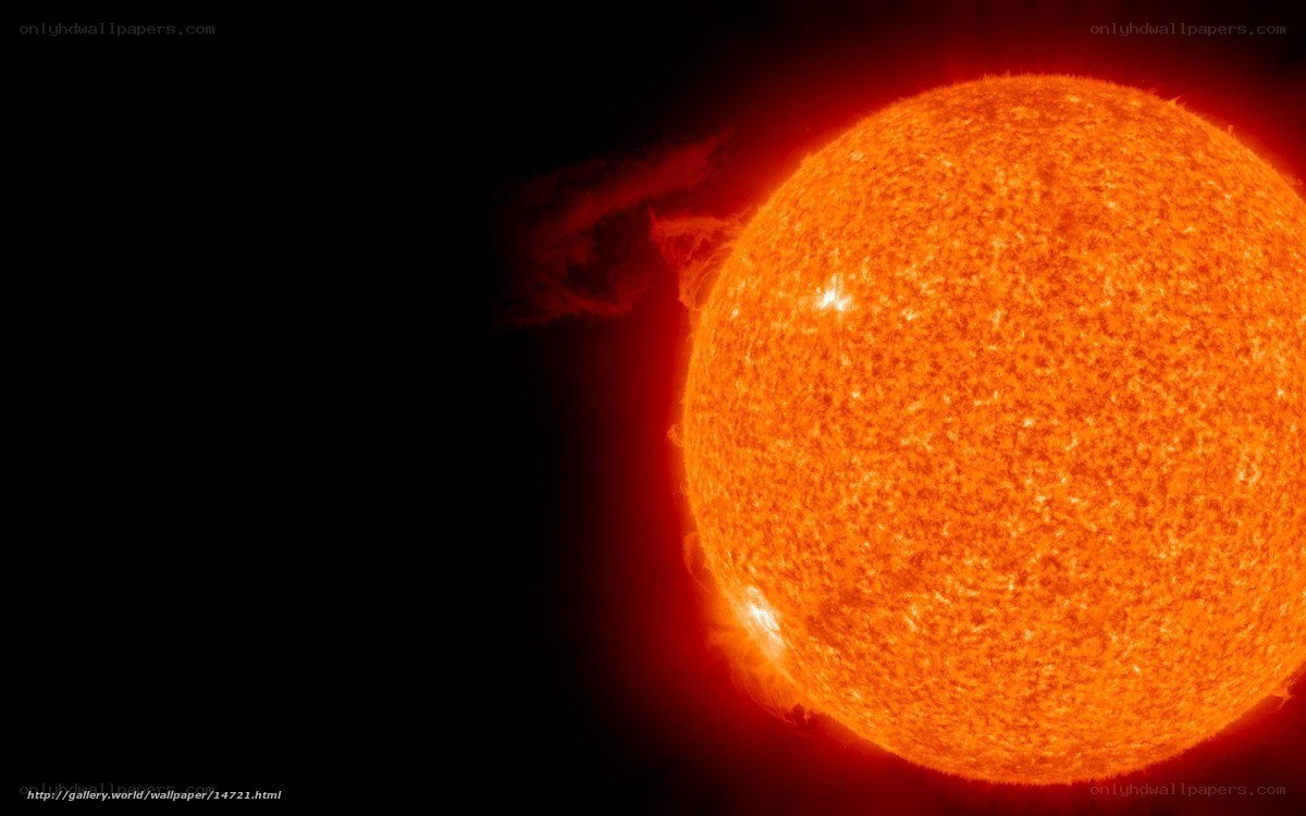 The Sun in Space