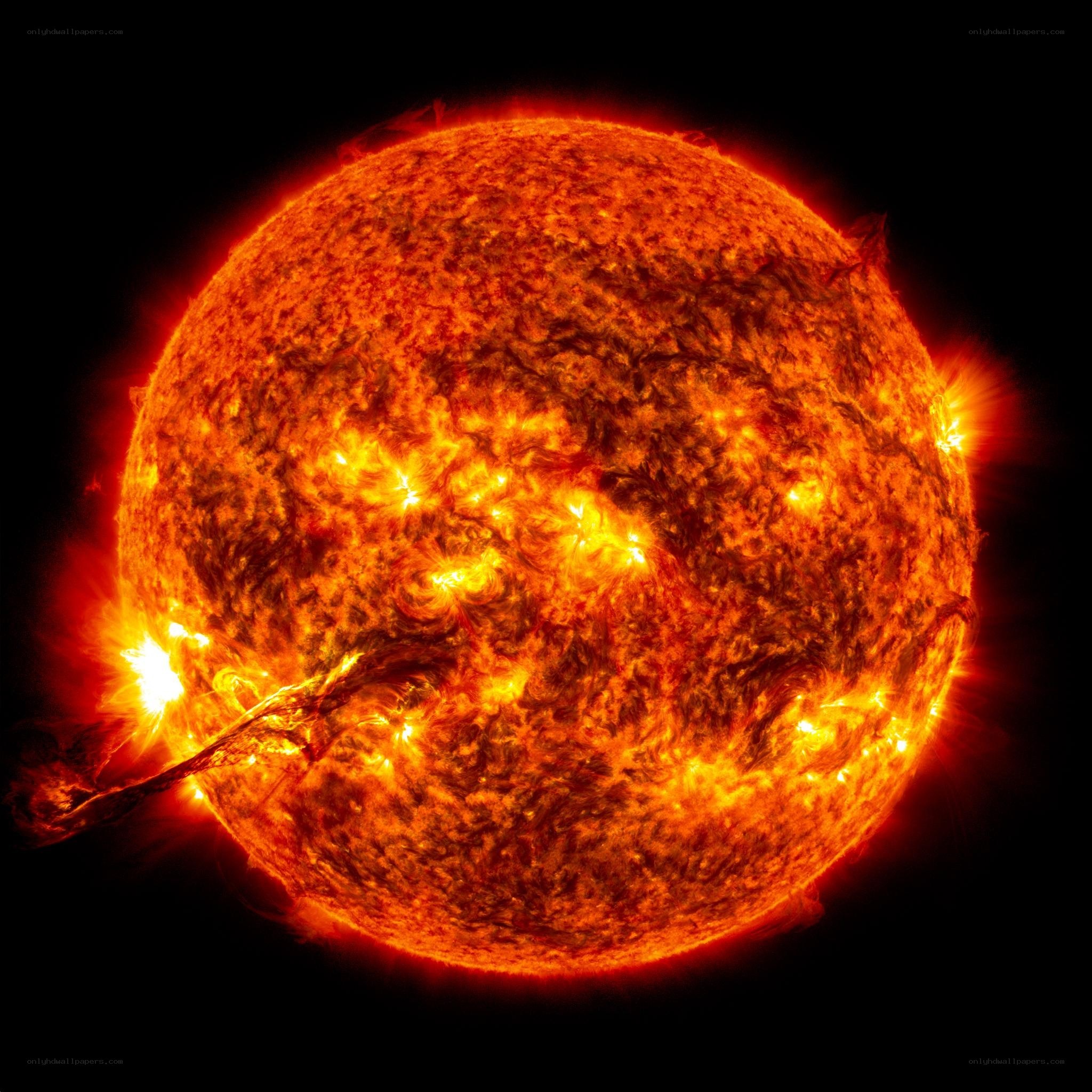 The Sun's Active Surface