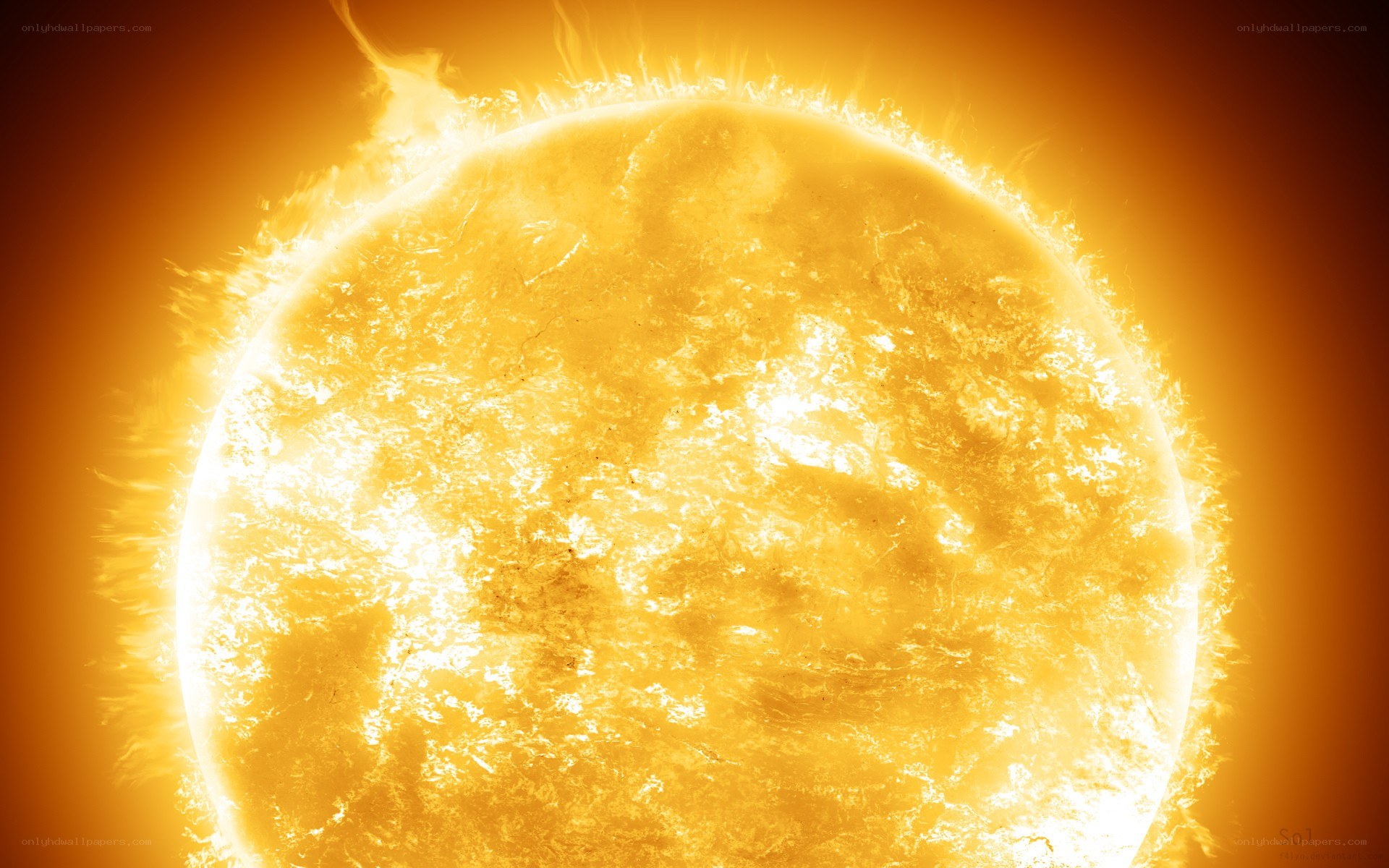 The Sun's Surface