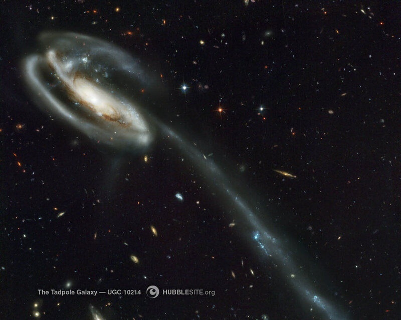 The Tadpole Galaxy