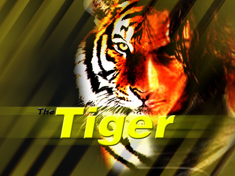 The Tiger movie poster