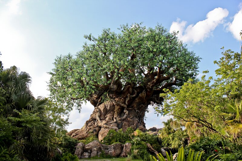 The Tree of Life at Epcot