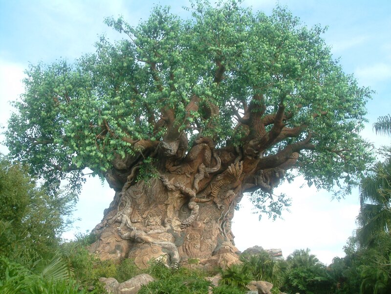 The Tree of Life at Epcot