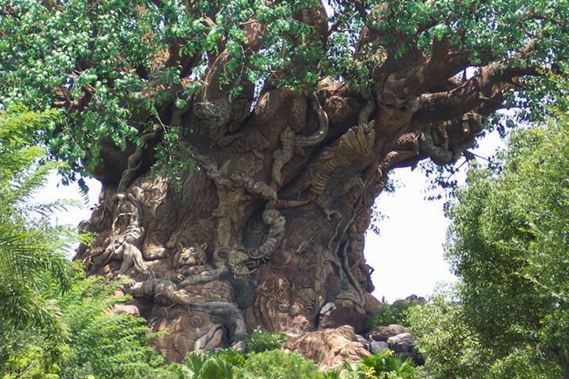 The Tree of Life — Brown