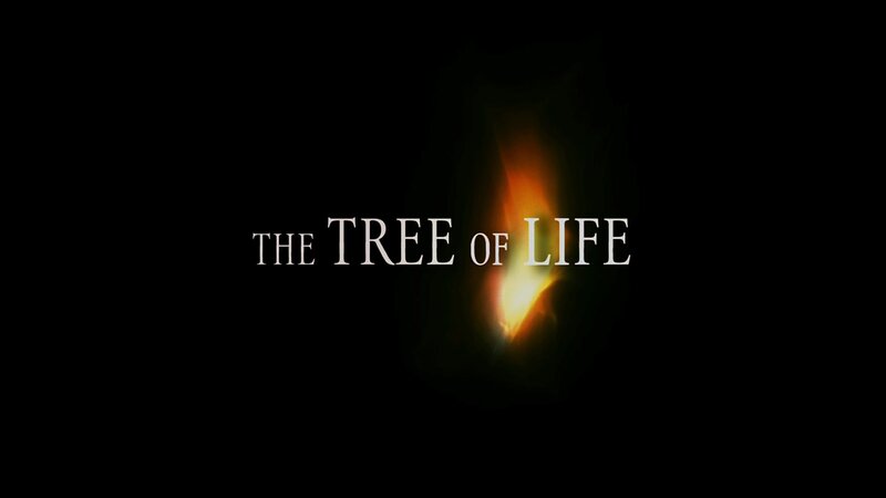 The Tree of Life title card