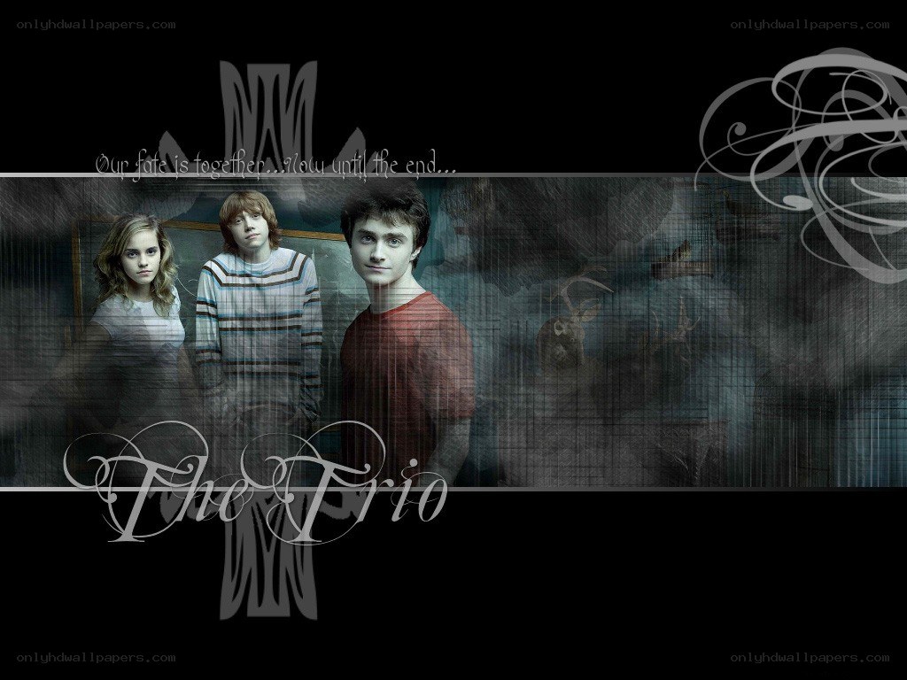 The Trio from Harry Potter