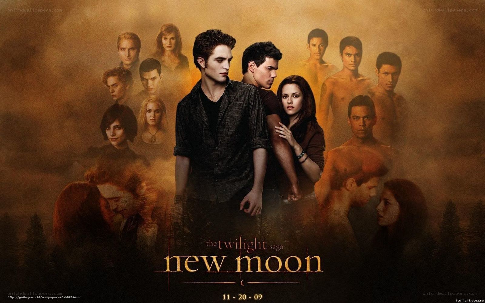 The Twilight Saga: New Moon
