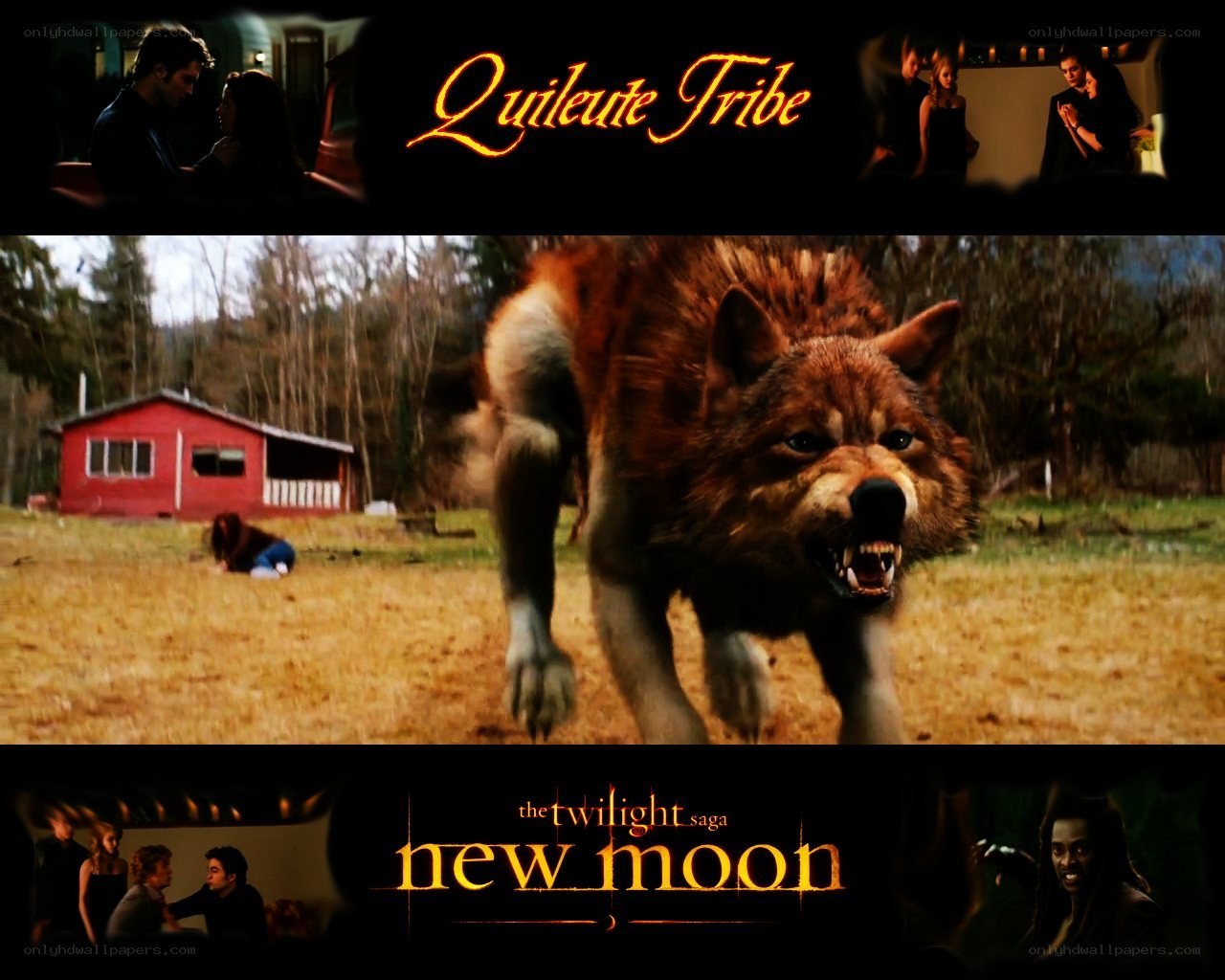 The Twilight Saga New Moon collage