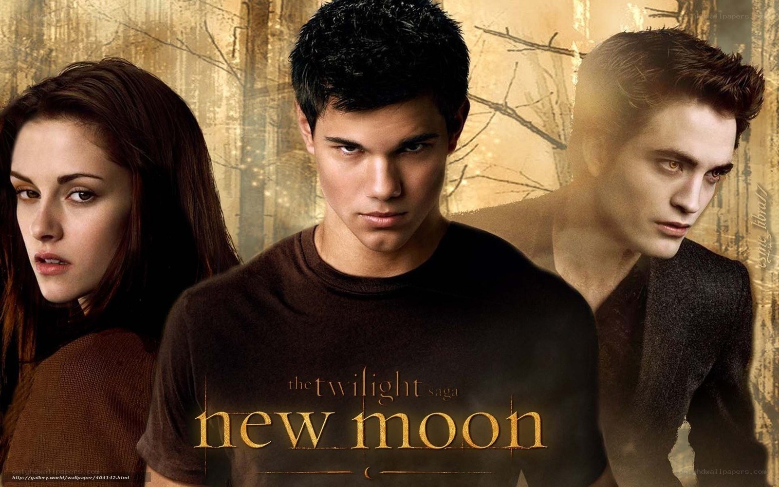 The Twilight Saga: New Moon