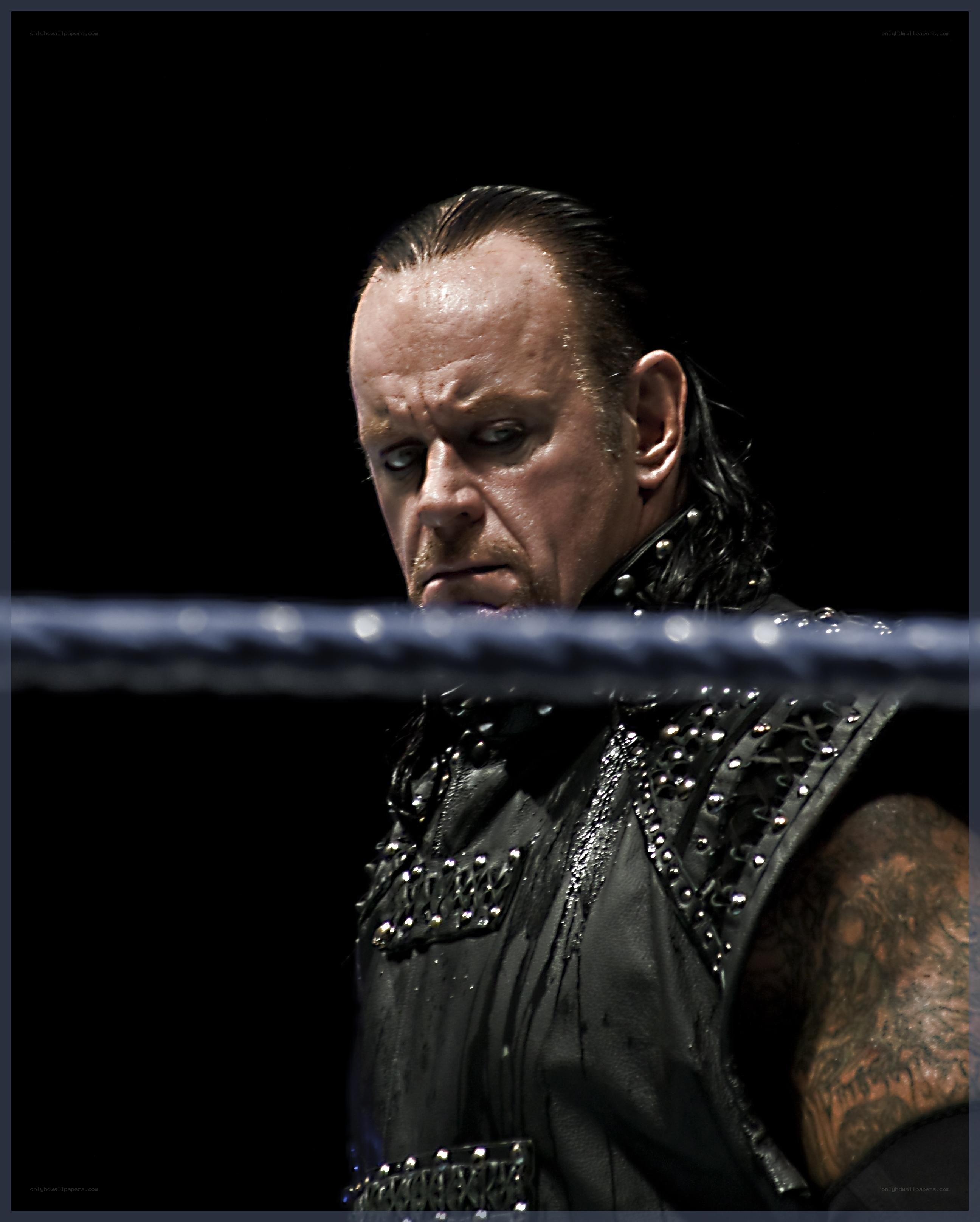The Undertaker in the ring