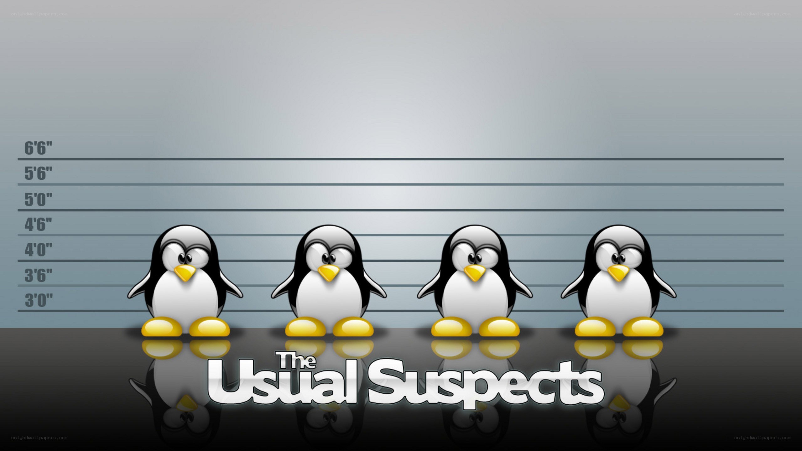 The Usual Suspects penguins