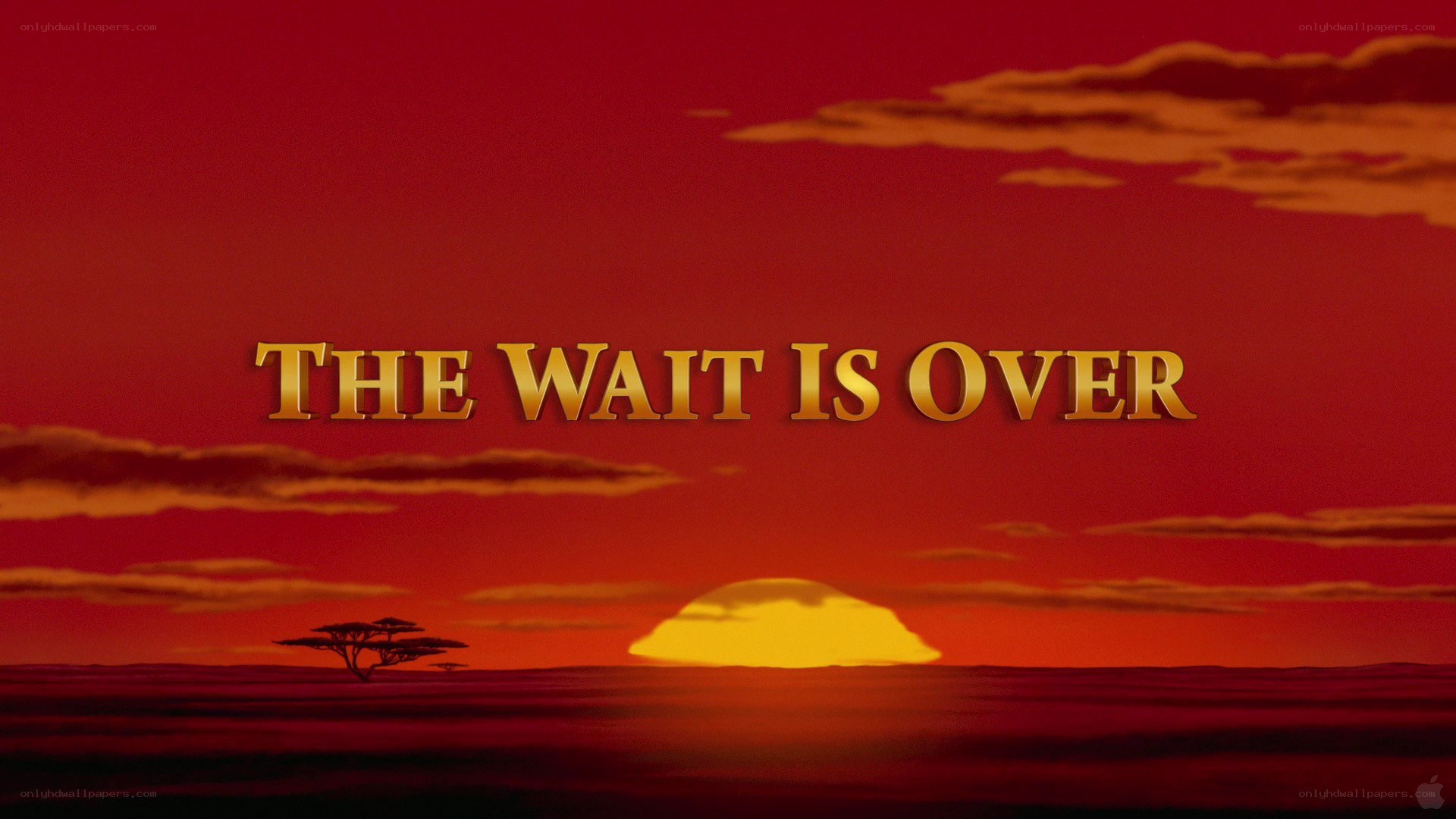 The Wait Is Over