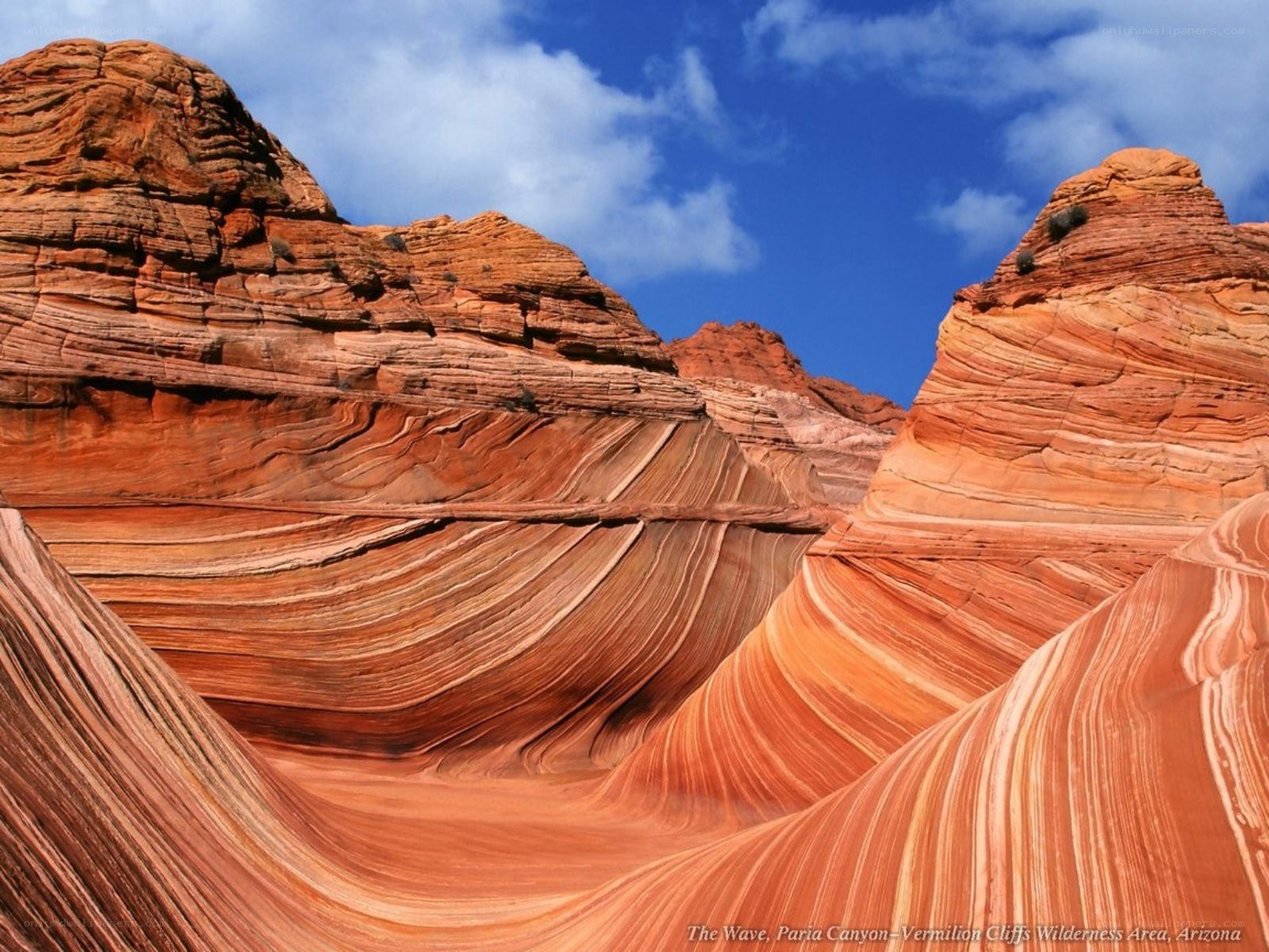 The Wave rock formation