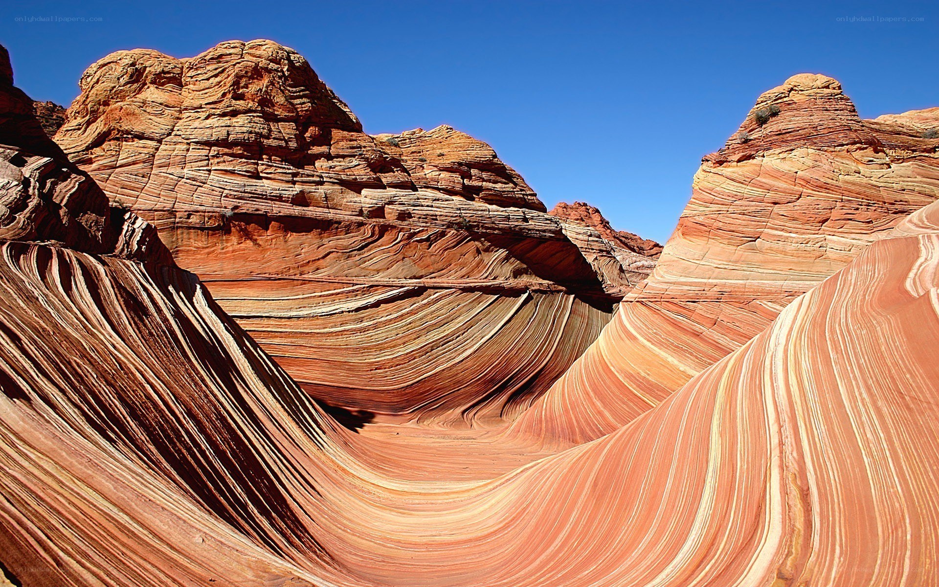 The Wave rock formation