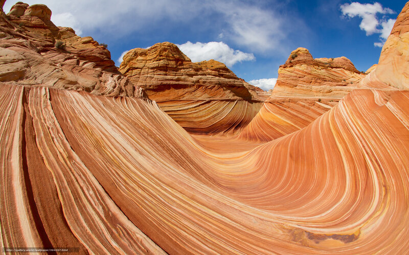 The Wave Rock Formation — Orange, Dramatic, Afternoon, Photograph