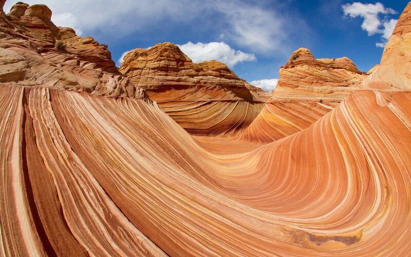 The Wave Rock Formation — Orange, Dramatic, Afternoon