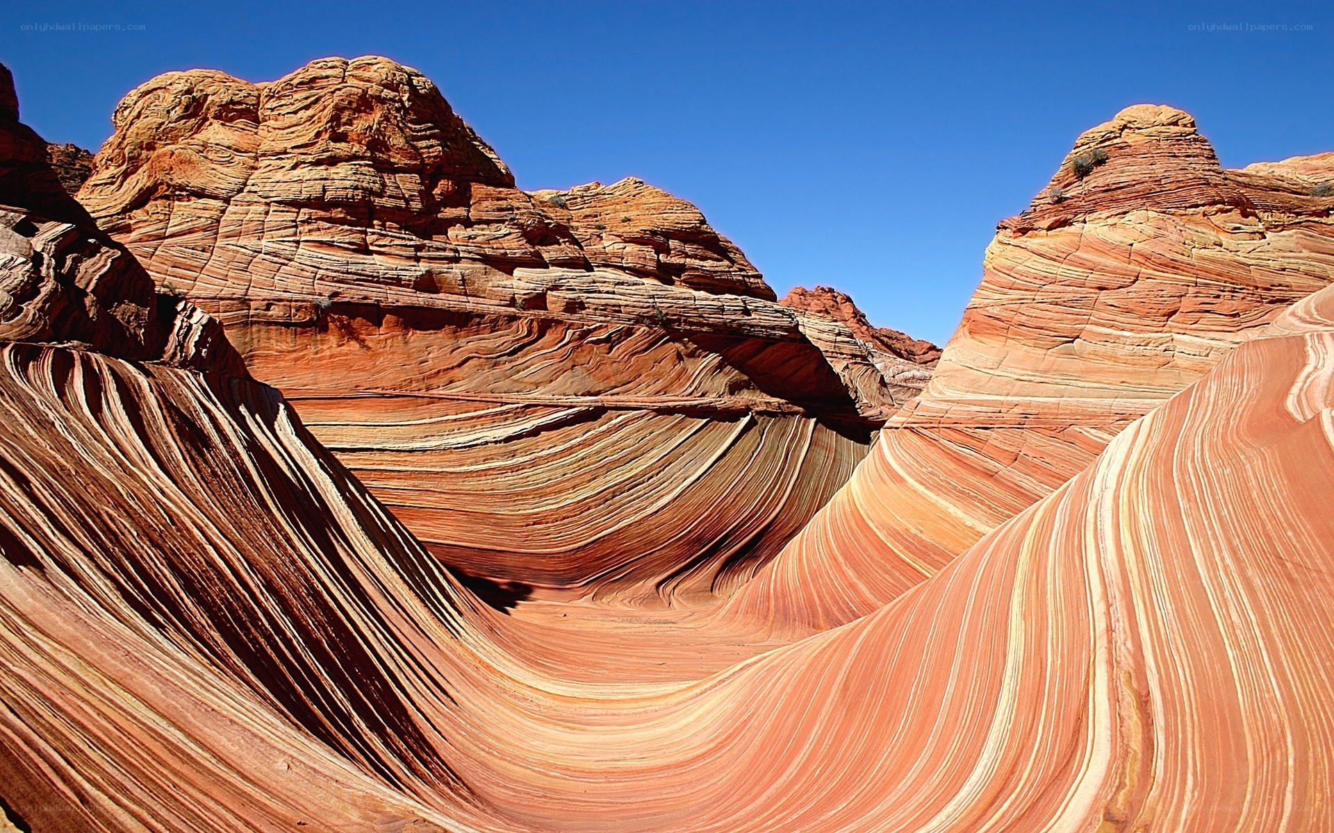 The Wave rock formation
