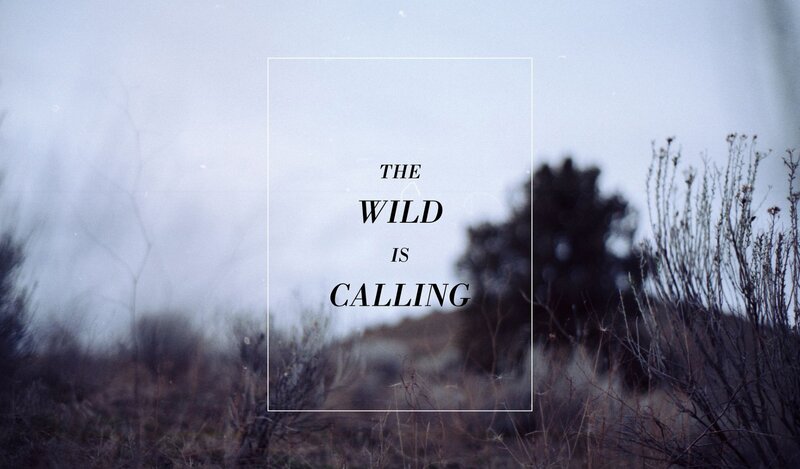 The Wild Is Calling