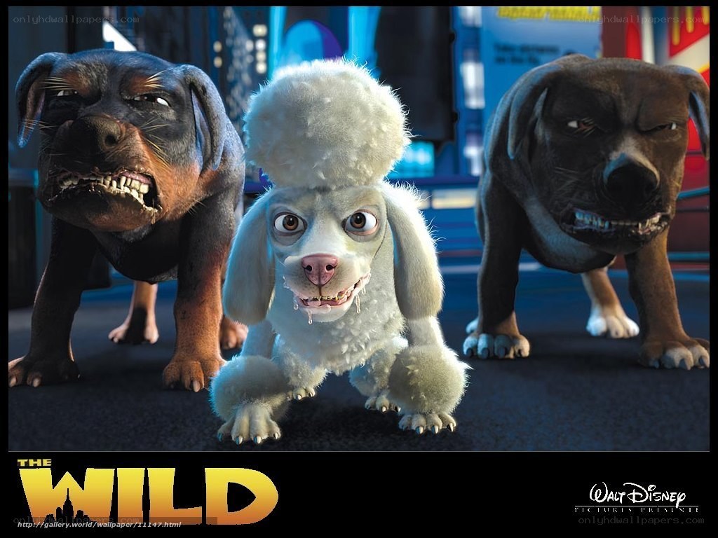 The Wild movie poster
