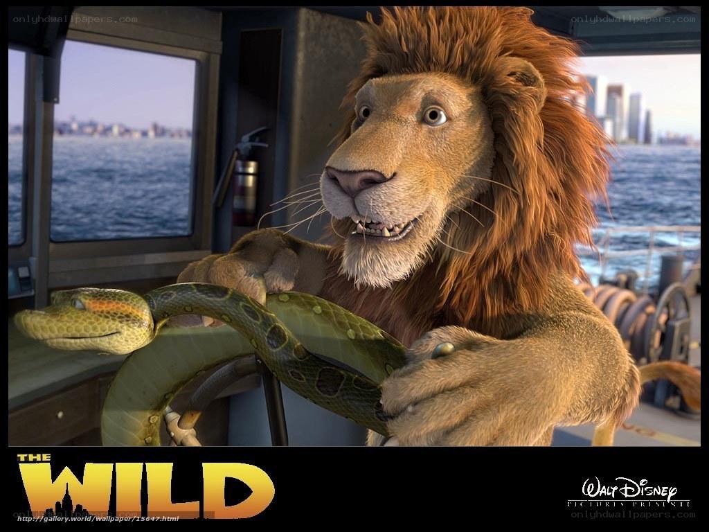 The Wild movie scene