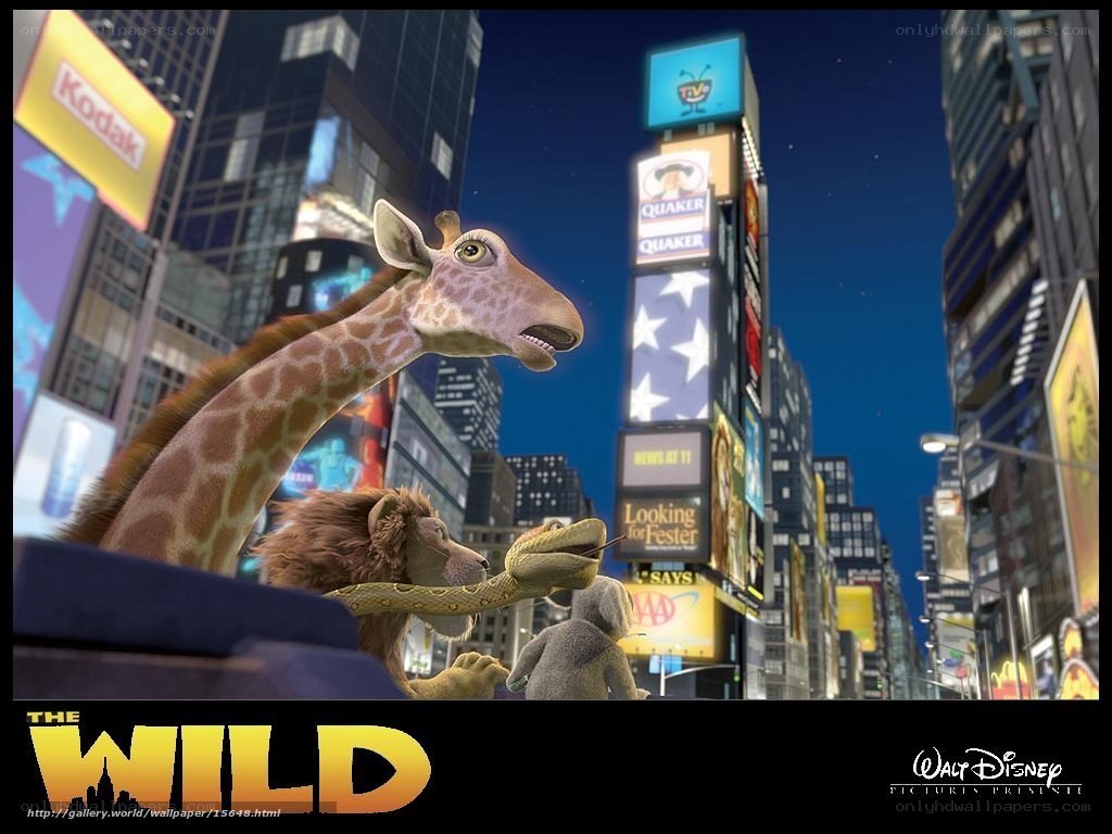 The Wild movie scene