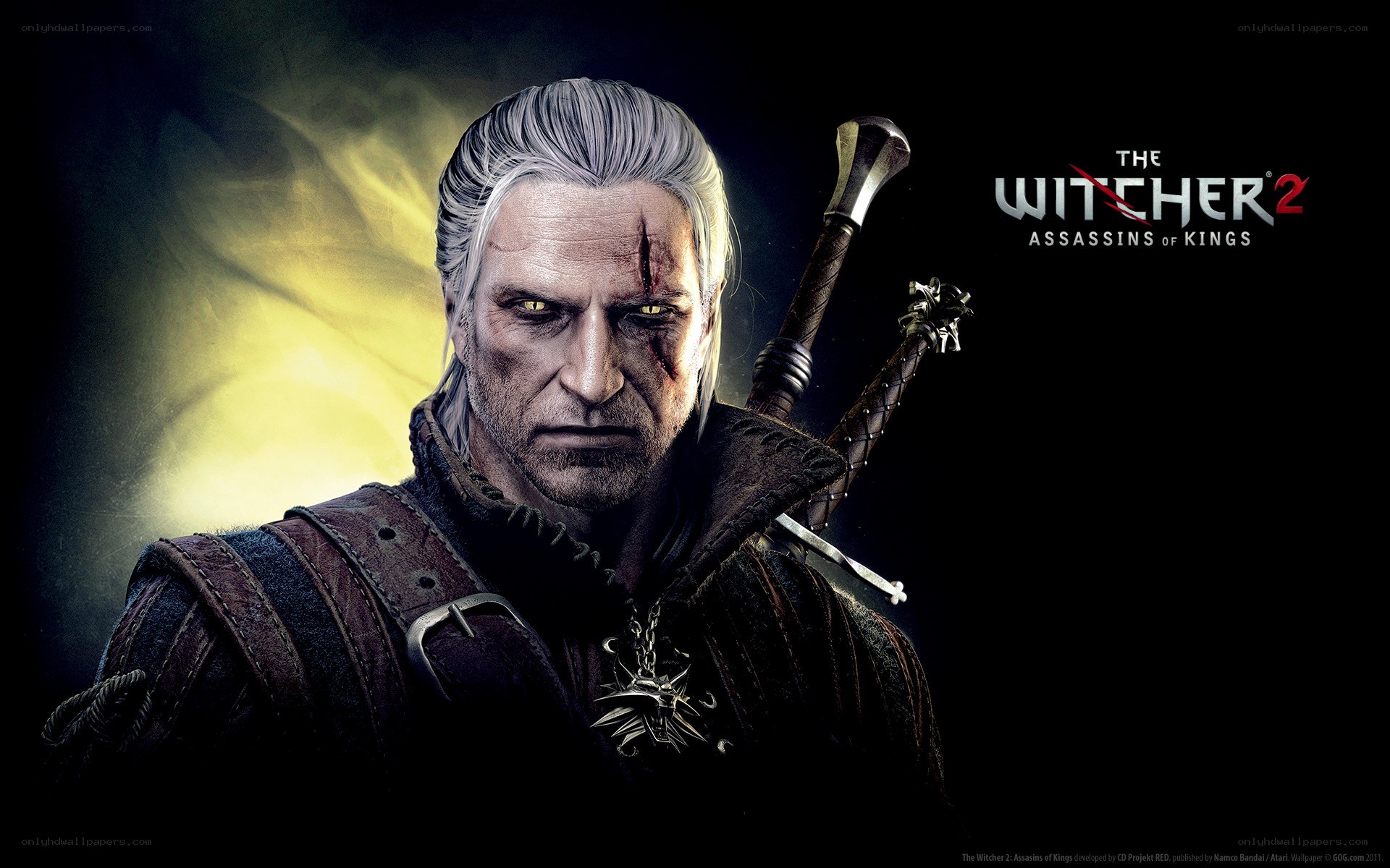 The Witcher 2 character art