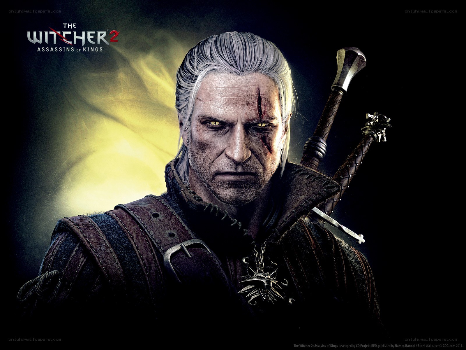 The Witcher 2 character portrait