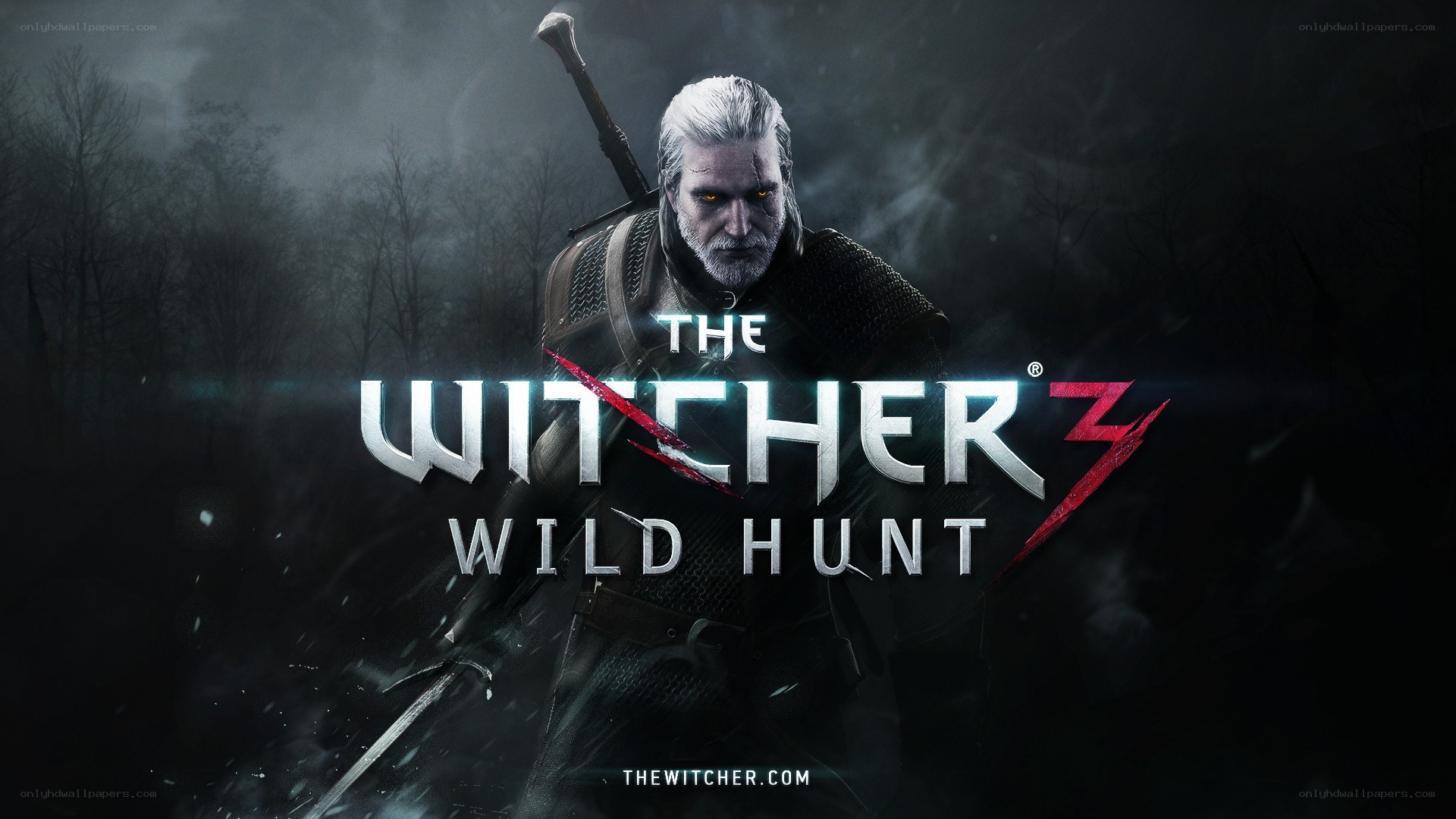 The Witcher 3: Wild Hunt