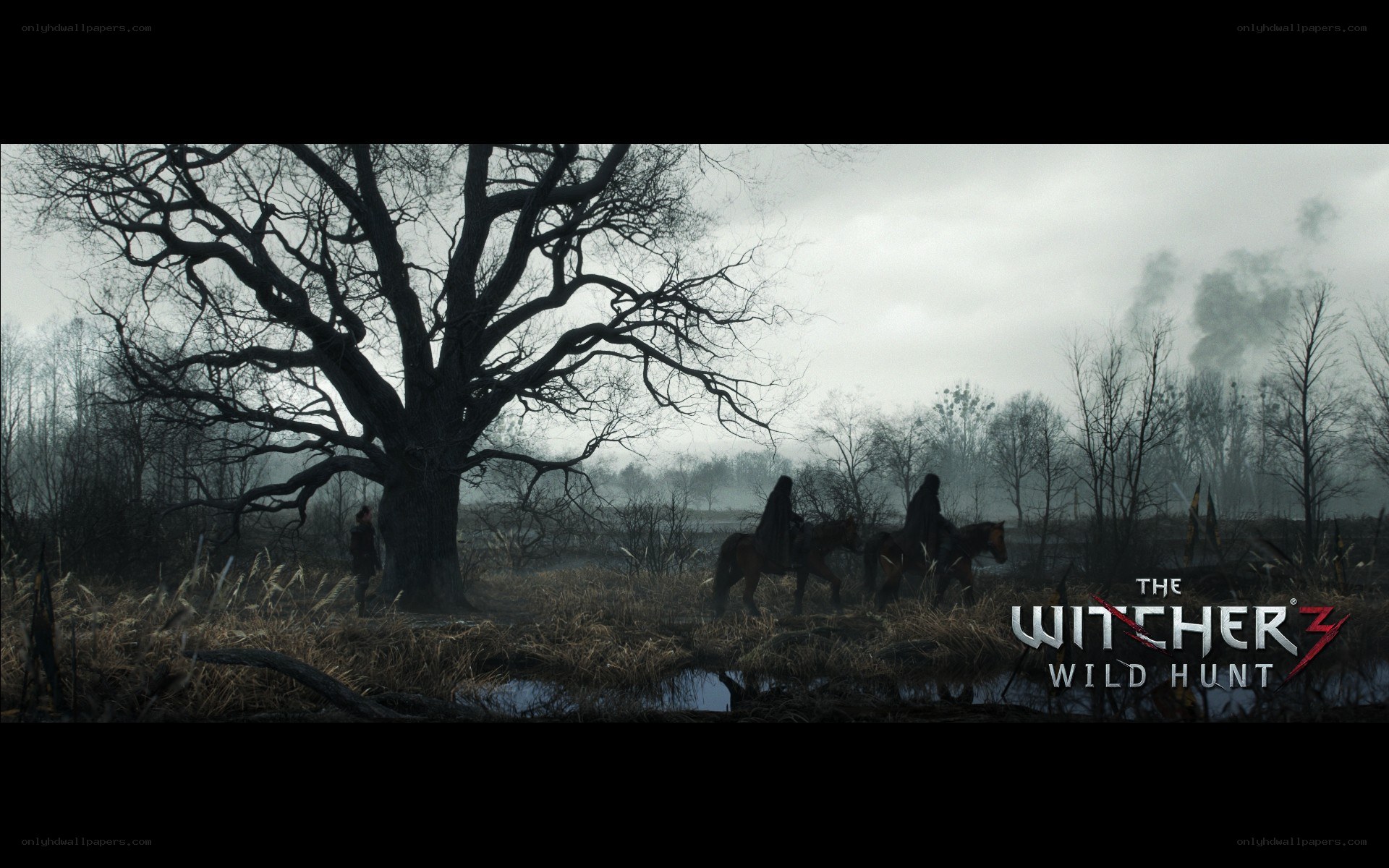 The Witcher 3: Wild Hunt scene