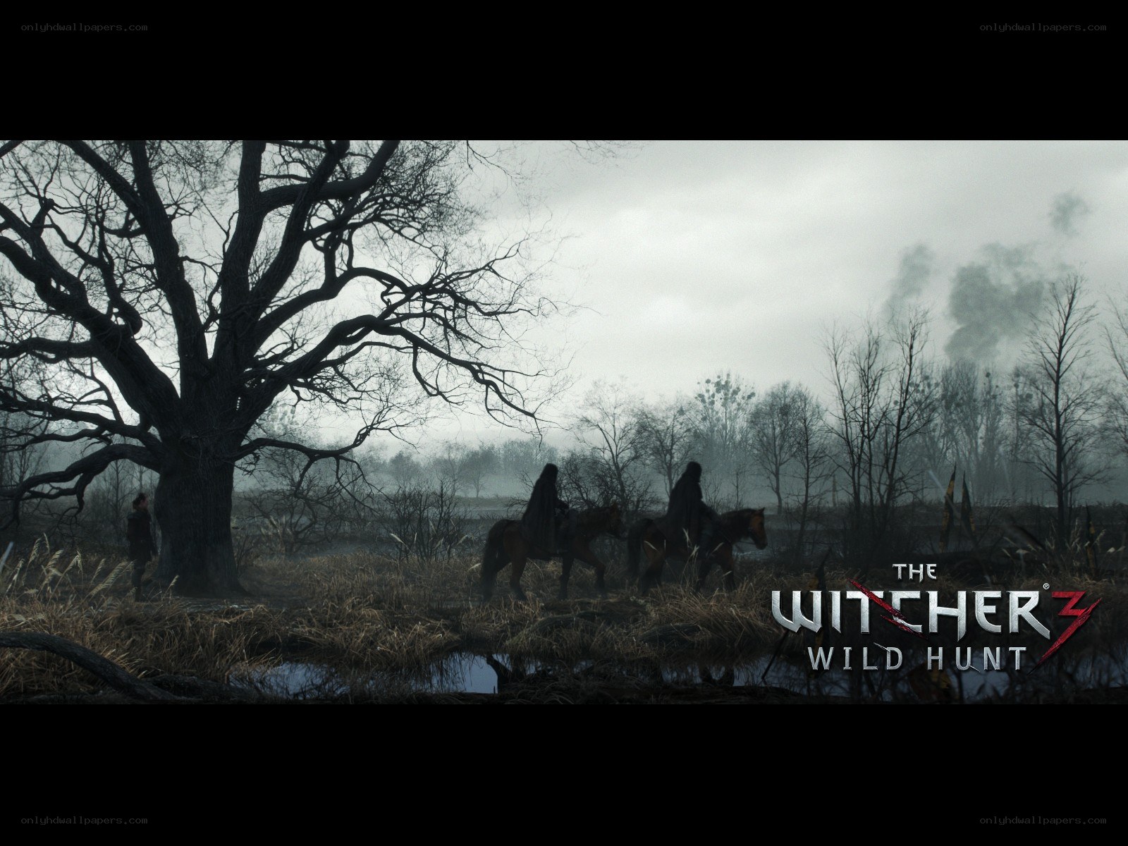 The Witcher 3: Wild Hunt scene