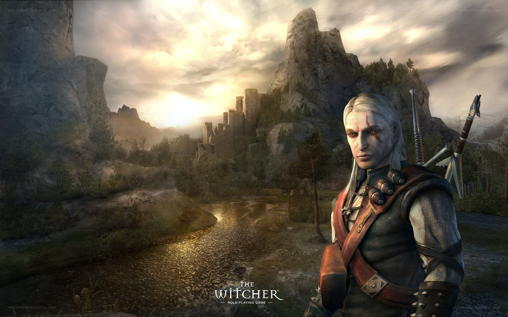 The Witcher character in landscape