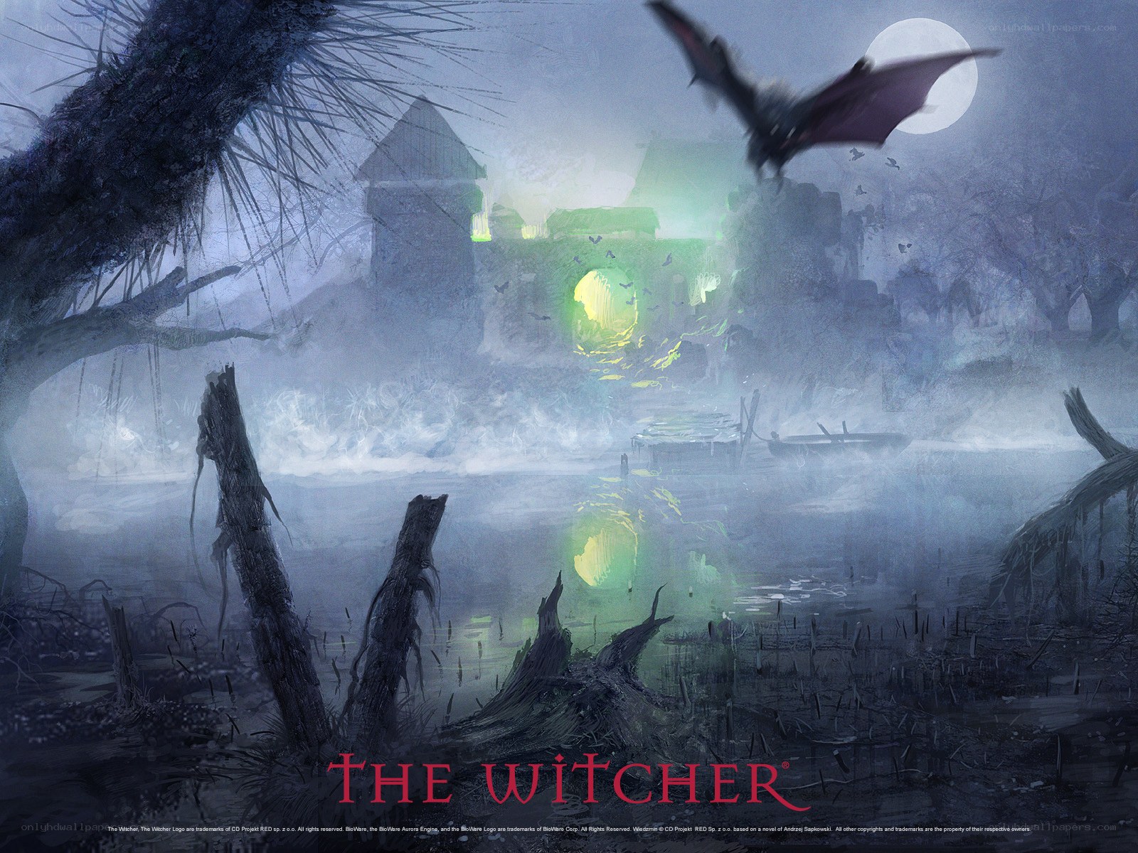 The Witcher game art