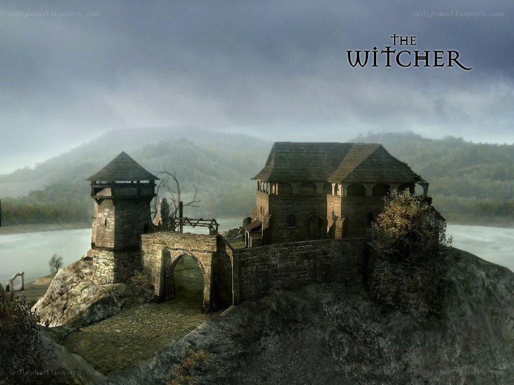 The Witcher game scene