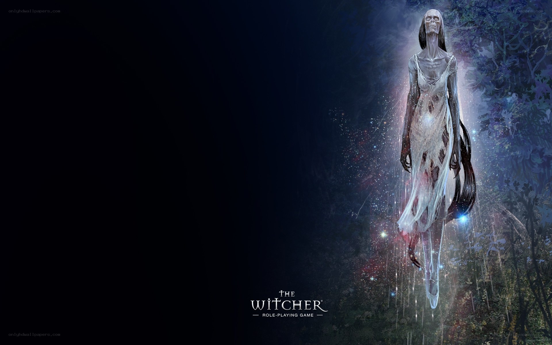The Witcher ghostly figure