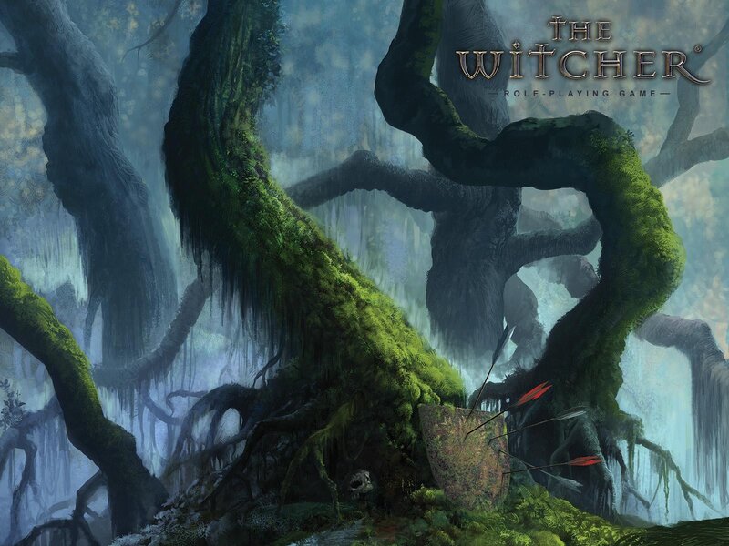The Witcher RPG cover art