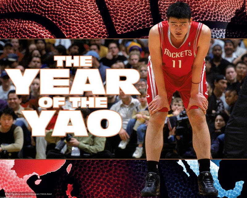 The Year of the Yao