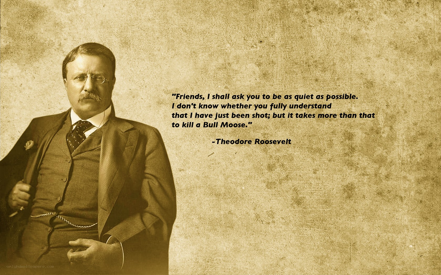 Theodore Roosevelt quote