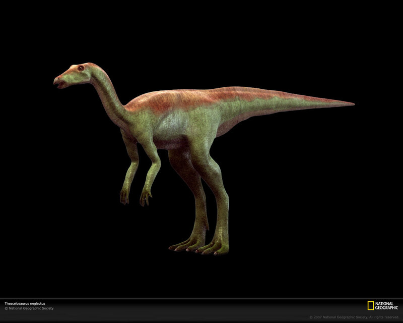 Thescelosaurus dinosaur