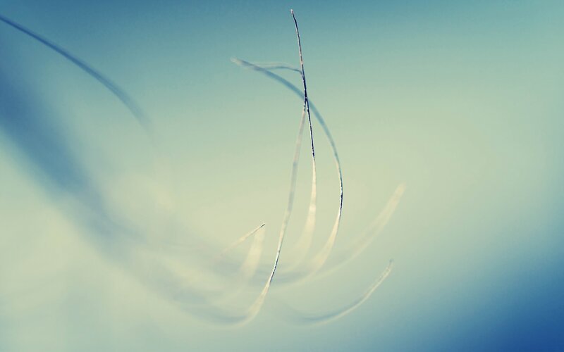Thin Strands in Motion