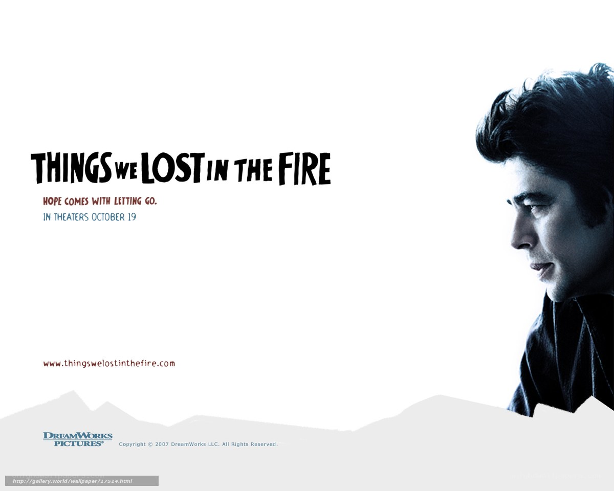Things We Lost in the Fire