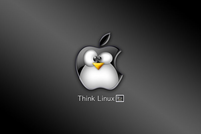 Think Linux logo