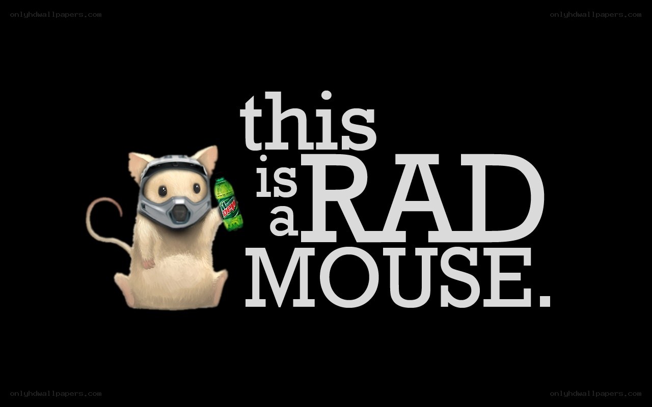 this is a rad mouse