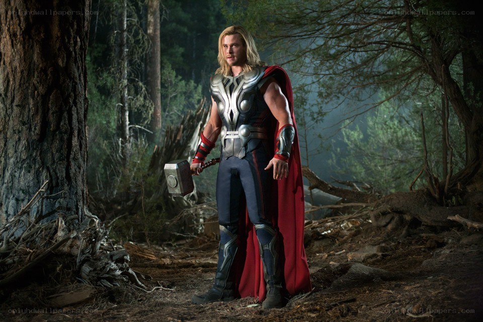 Thor in the forest