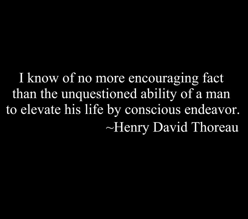 Thoreau quote on endeavor