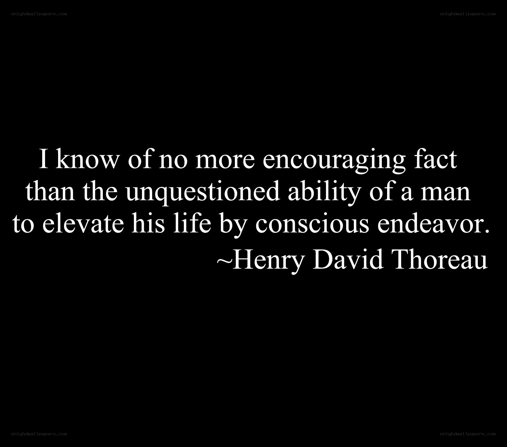 Thoreau quote on endeavor