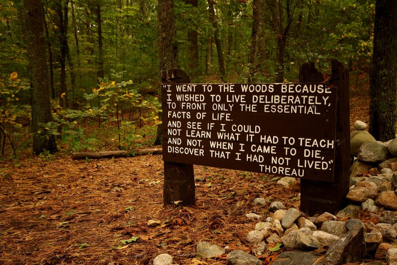 Thoreau Quote Sign
