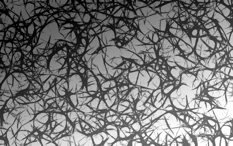 thorny branch pattern