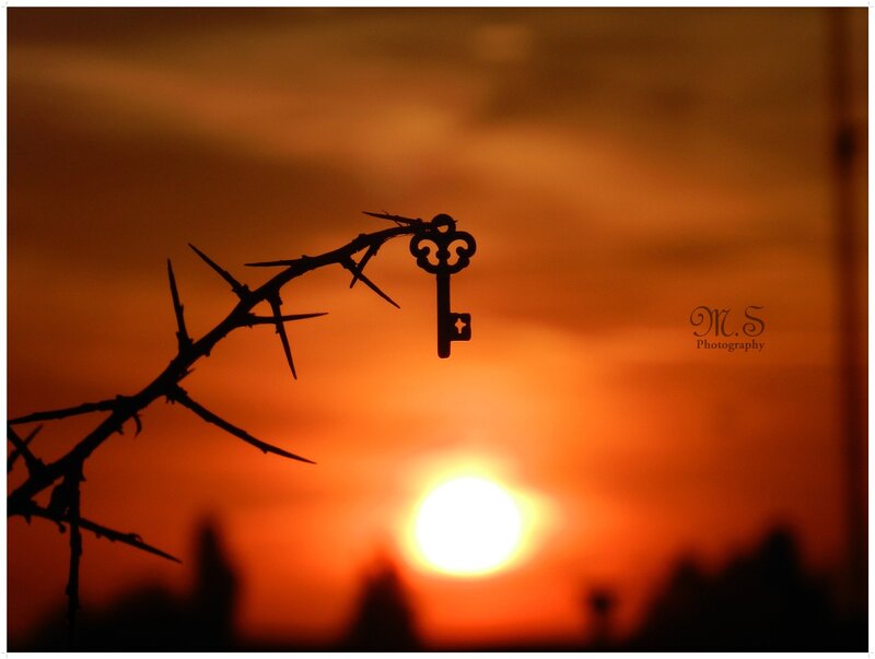 Thorny Branch with Key