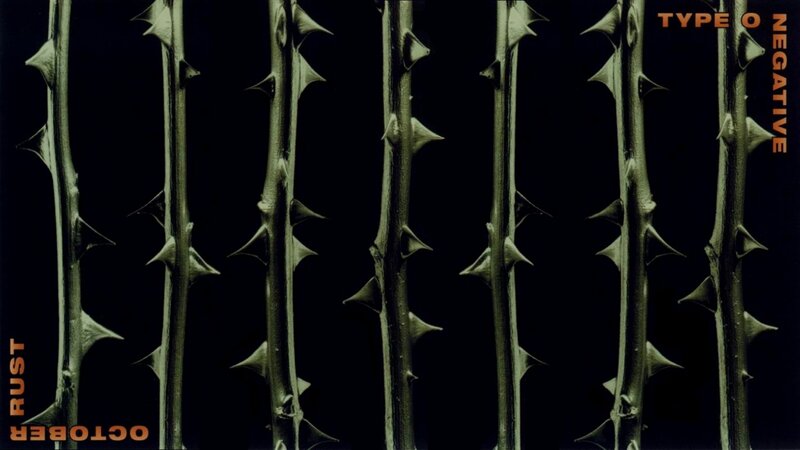 Thorny Plant Stems